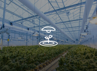 Home Assistant 种植照明