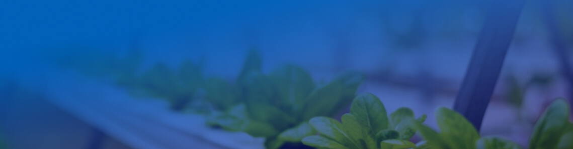 用于智能农业的 LTE 网关