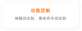 功能定制